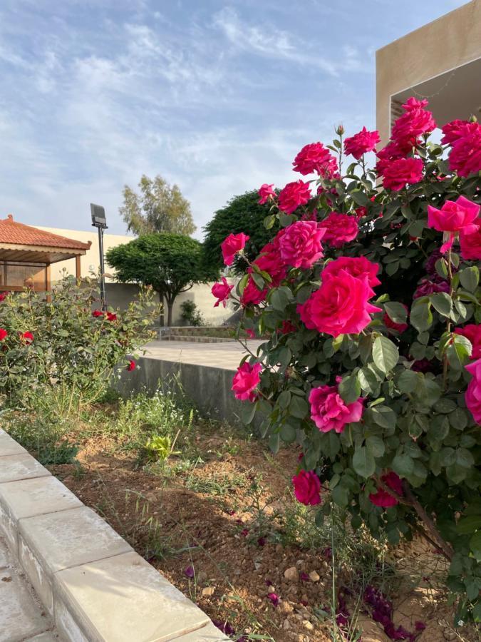 مزرعة النجم Najem Farm Villa Al-Qasr Bagian luar foto