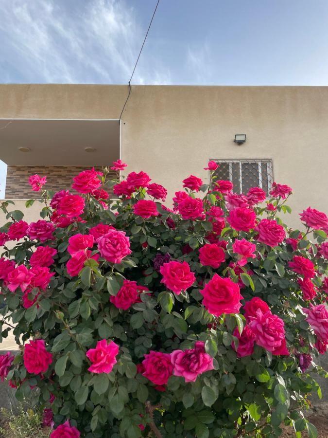 مزرعة النجم Najem Farm Villa Al-Qasr Bagian luar foto