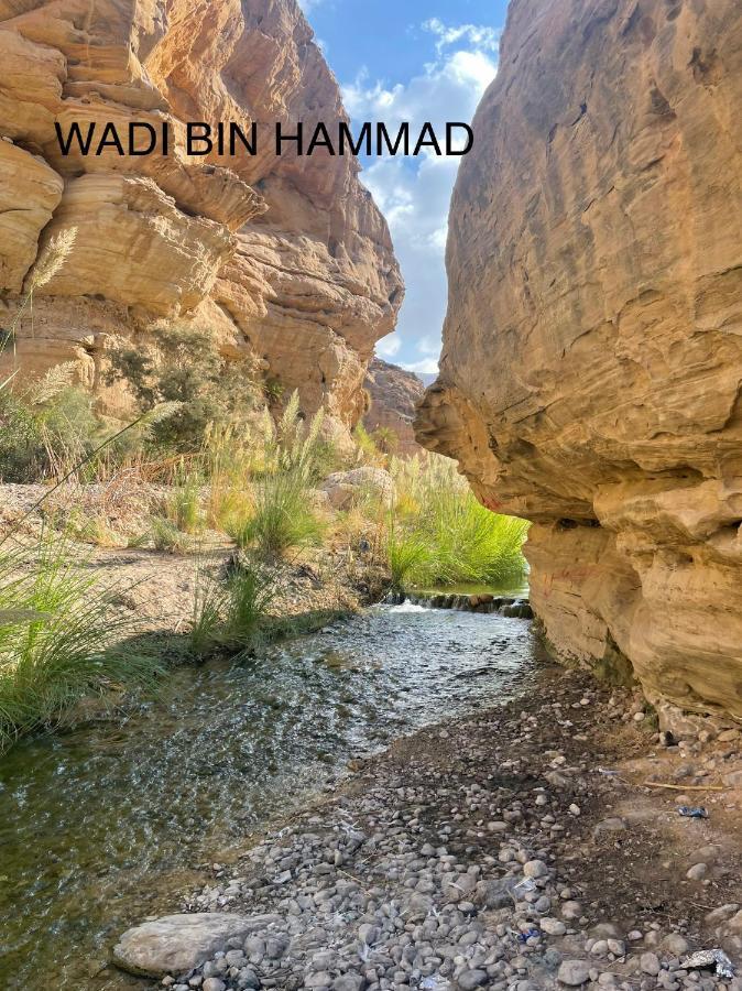 مزرعة النجم Najem Farm Villa Al-Qasr Bagian luar foto
