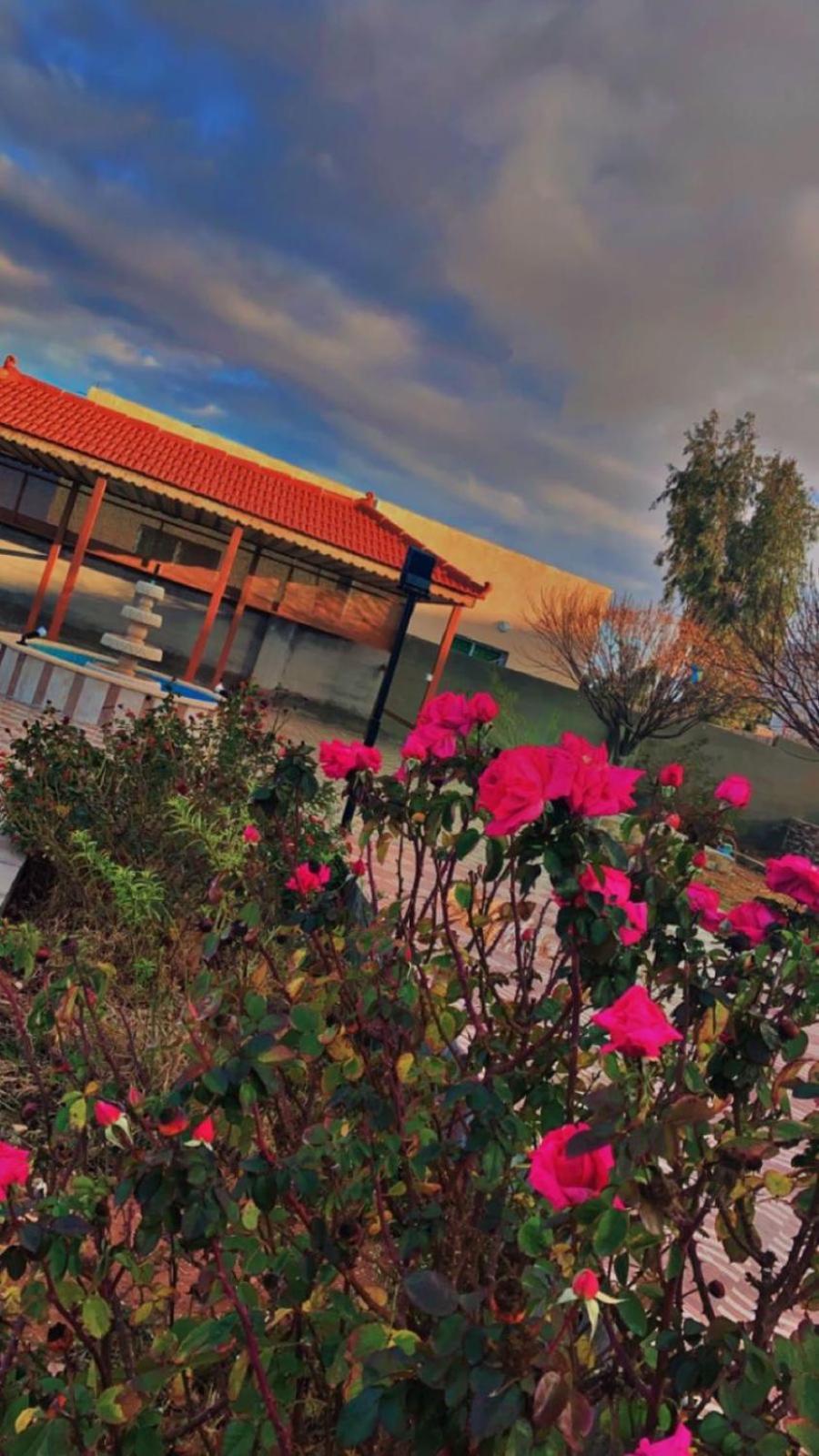 مزرعة النجم Najem Farm Villa Al-Qasr Bagian luar foto