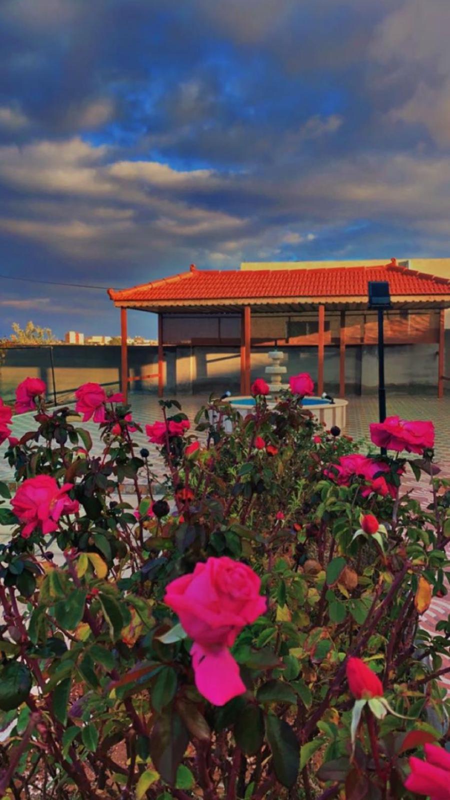 مزرعة النجم Najem Farm Villa Al-Qasr Bagian luar foto